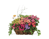 Garden flower Basket