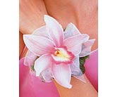 Orchid Wristlet